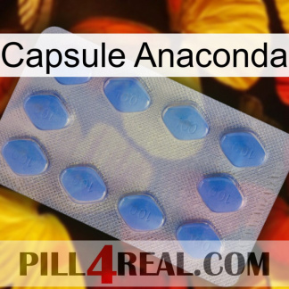 Anaconda Capsule 21